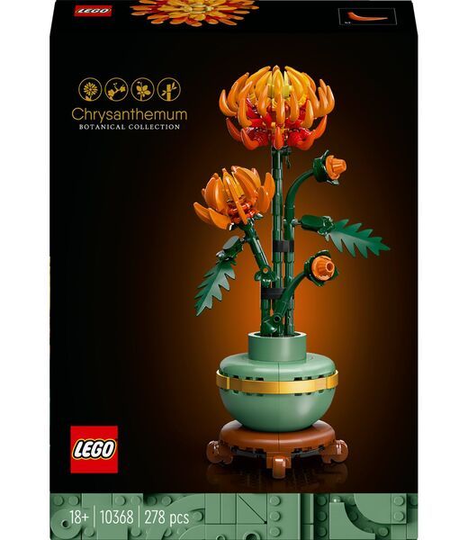 Chrysanten 10368 Botanical