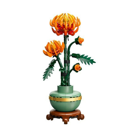 Chrysanten 10368 Botanical