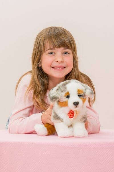 Australian Shepherd Puppy, 22 Cm, 58425842 van Vedes te koop bij Speldorado !