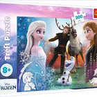 Pz.Disney Bevroren 300T