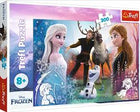Pz.Disney Bevroren 300T