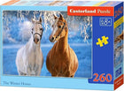 The Winter Horses