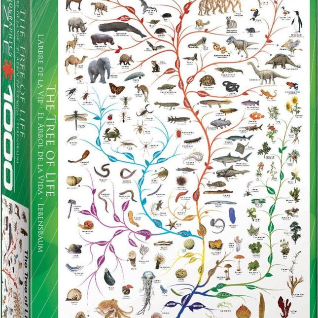 The Tree of Life (1000)