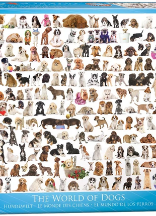 0 puzzel "Vrolijk boerderijleven" - 1000 stukjes