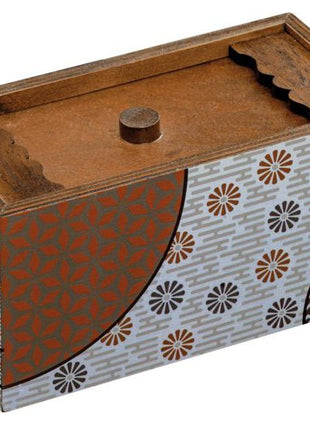 Puzzle Secret box spring hersenbreker  - Philos