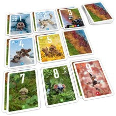 Dit is een foto van het spel Pixies te koop bij Speldorado Spellenwinkel Delft