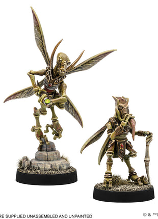 Sun Fac and Poggle the Lesser