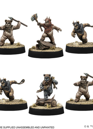 Ewok Warriors