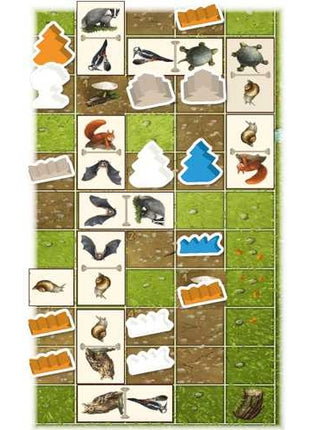 Dit is een foto van het spel ReNature Valley Uitbreiding te koop bij Speldorado Spellenwinkel Delft