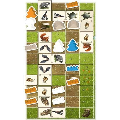 Dit is een foto van het spel ReNature Valley Uitbreiding te koop bij Speldorado Spellenwinkel Delft