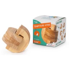 Dit is een foto van het spel Temperal Lobe, Breinbreker 3, Recent Toys te koop bij Speldorado Spellenwinkel Delft