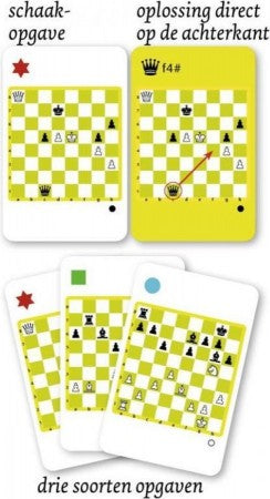 Dit is een foto van het spel Check! De beste zet te koop bij Speldorado Spellenwinkel Delft