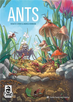 ANTS – gezellig bordspel – 2 tot 4 spelers