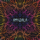 Amygdala – strategisch kaartspel – 2 tot 4 spelers