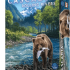 Dit is een foto van het spel Cascadia Rolling Rivers te koop bij Speldorado Spellenwinkel Delft