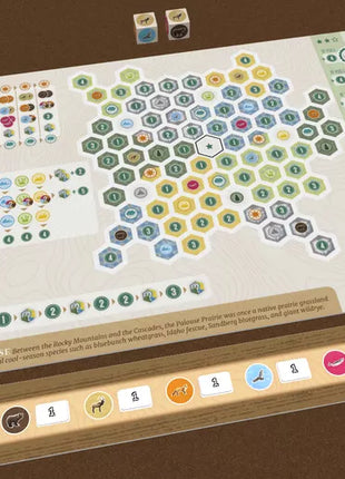 Dit is een foto van het spel Cascadia - Rolling Hills - NL te koop bij Speldorado Spellenwinkel Delft