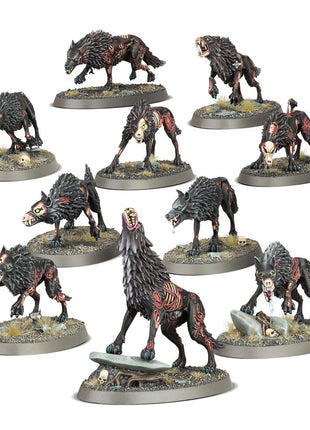 Dit is een afbeelding van het miniatuur Dire Wolves - Soulblight Gravelords voor het spel Warhammer, te koop bij Tabletop Miniature Wargames spellenwinkel Speldorado in delft