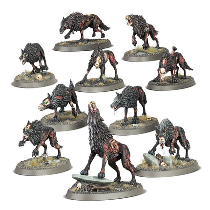 Dit is een afbeelding van het miniatuur Dire Wolves - Soulblight Gravelords voor het spel Warhammer, te koop bij Tabletop Miniature Wargames spellenwinkel Speldorado in delft