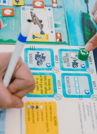 Dit is een foto van het spel Finspan te koop bij Speldorado Spellenwinkel Delft