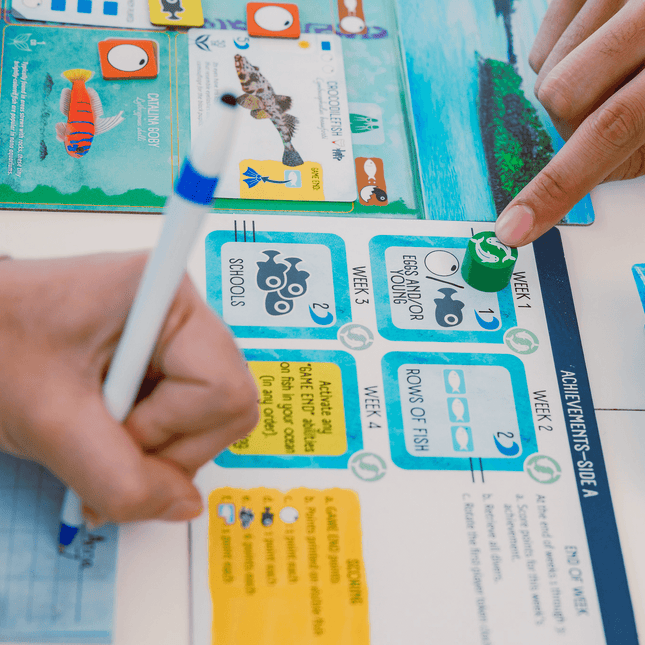 Dit is een foto van het spel Finspan te koop bij Speldorado Spellenwinkel Delft