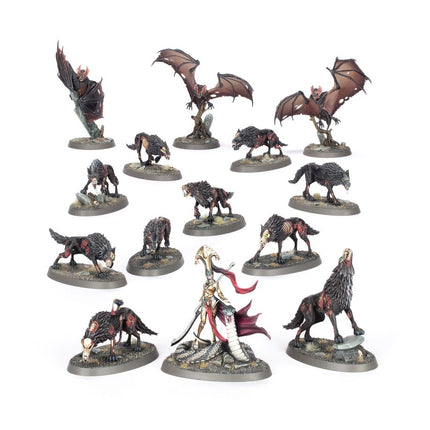 Dit is een foto van het spel Fangs Of The Blood Queen - Soulblight Gravelords te koop bij Speldorado Spellenwinkel Delft