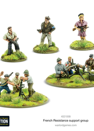 Dit is een foto van het spel French Resistance Support Group te koop bij Speldorado Spellenwinkel Delft