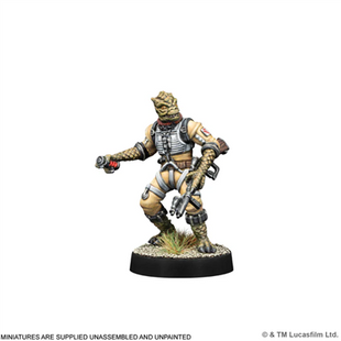 Legion Galaxy Bounty Hunters
