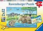 Eurographics puzzel 