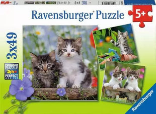 Eurographics puzzel "Map of Europe (1000)" - 1000 stukjes
