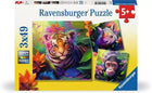 Eurographics puzzel 