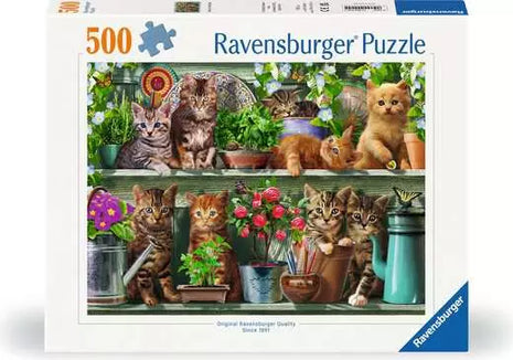 Gibson puzzel "Moggies & Kittens (1000)" - 1000 stukjes