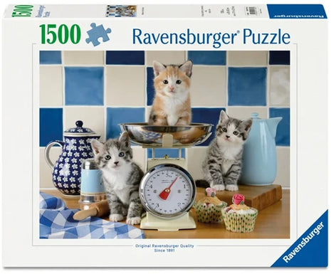 Kittens in the Kitchen