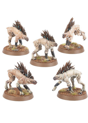 Kroot Hounds - Tau Empire