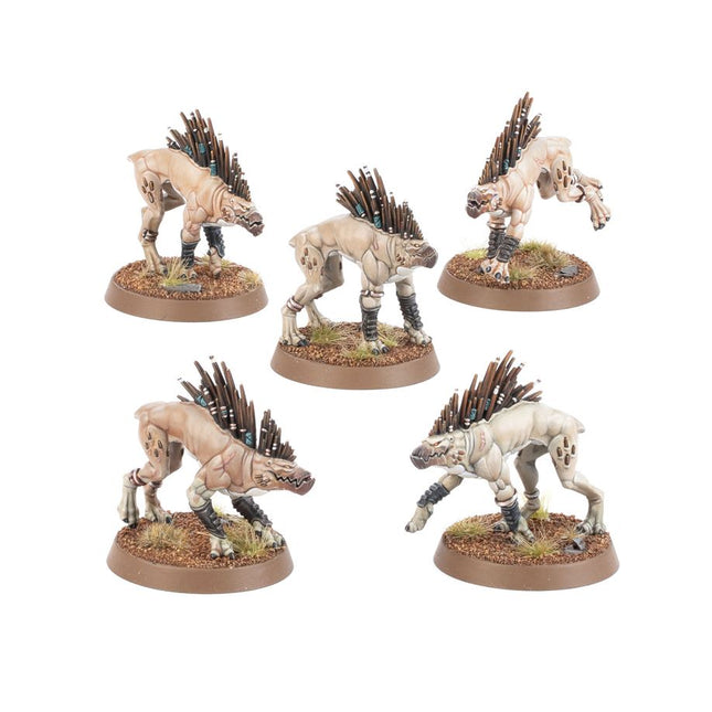 Kroot Hounds - Tau Empire