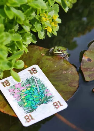Dit is een foto van het spel Lyttle Wood te koop bij Speldorado Spellenwinkel Delft