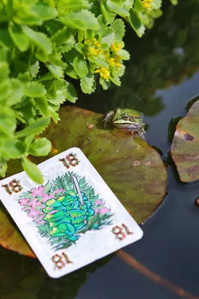 Dit is een foto van het spel Lyttle Wood te koop bij Speldorado Spellenwinkel Delft