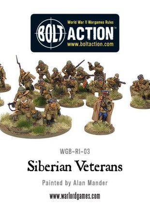 Dit is een foto van het spel Siberian Veterans te koop bij Speldorado Spellenwinkel Delft