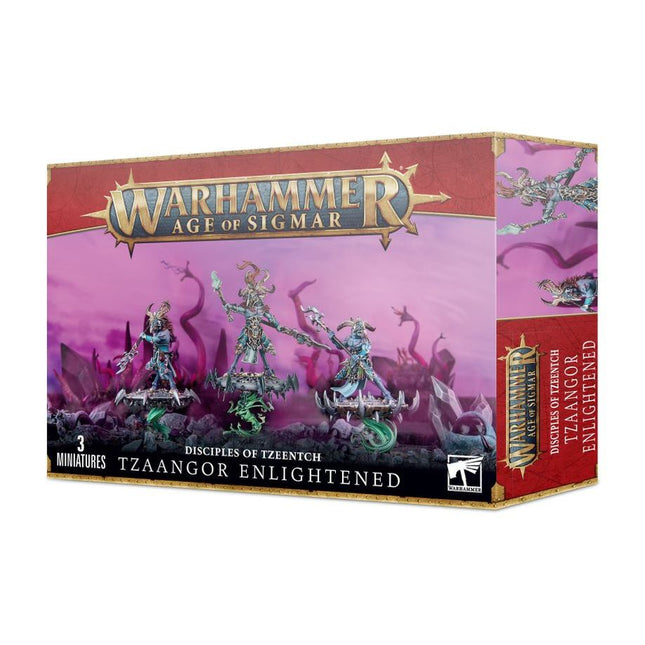 Dit is een foto van het spel Zaangor Enlightened - Chaos te koop bij Speldorado Spellenwinkel Delft