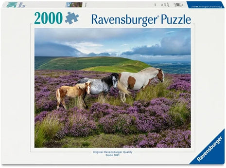 Wild Horses in the Heather