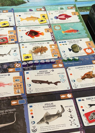 Finspan Sharks & Reefs Expansion
