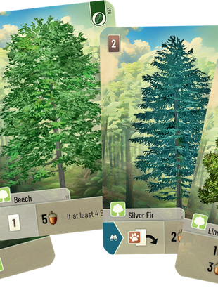 Dit is een foto van het spel Forest shuffle te koop bij Speldorado Spellenwinkel Delft