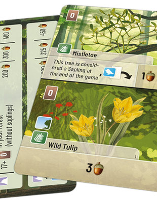 Forest Shuffle Exploration (EN)