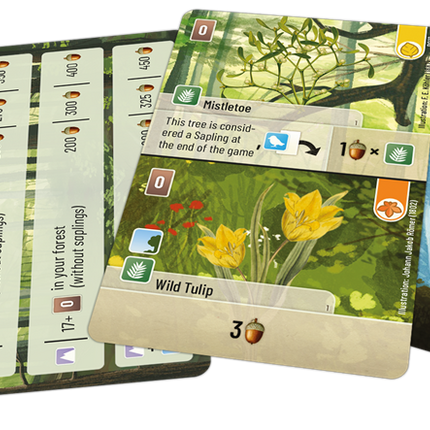Forest Shuffle Exploration (EN)