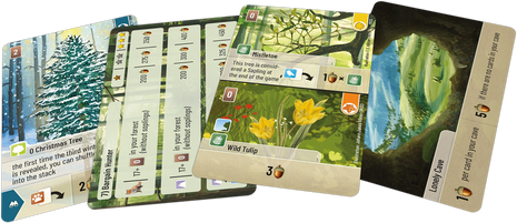 Forest Shuffle Exploration (EN)