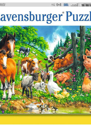 Dierenbijeenkomst