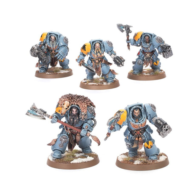 wolf guard terminators - space wolves