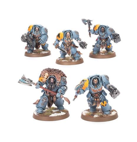 wolf guard terminators - space wolves
