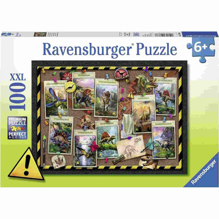 Dit is een foto van het spel Dino Verzameling te koop bij Speldorado Spellenwinkel Delft