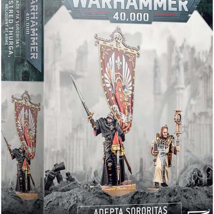 Dit is een foto van het spel Aestred Thurga Relinquant At Arms - Aeldari te koop bij Speldorado Spellenwinkel Delft