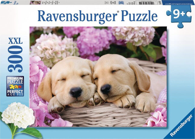 Schattige Hondjes In Een Mand 132355, 132355 van Ravensburger te koop bij Speldorado !